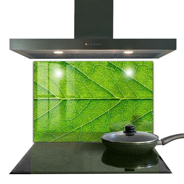 Zidna obloga za kuhinju Nežni detajli listov