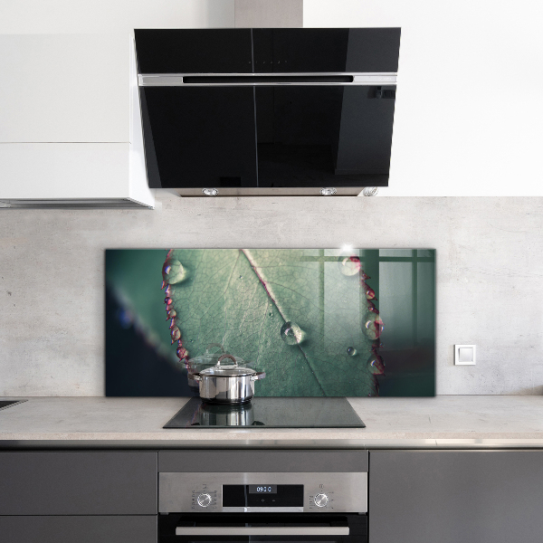 Zidna obloga za kuhinju List s kapljico rose