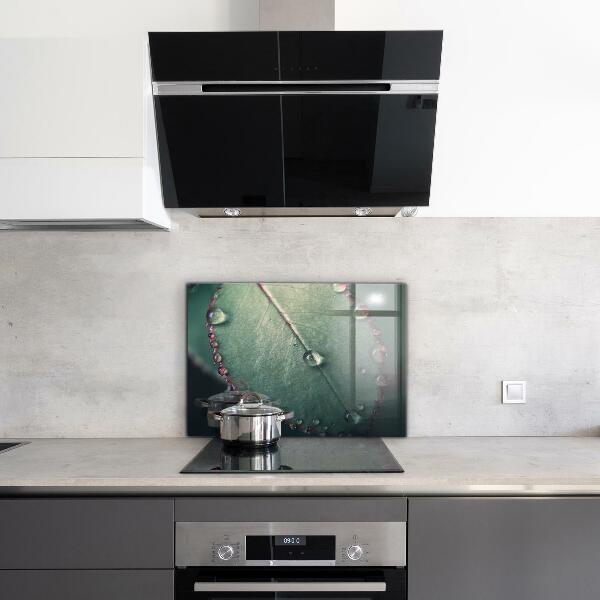 Zidna obloga za kuhinju List s kapljico rose