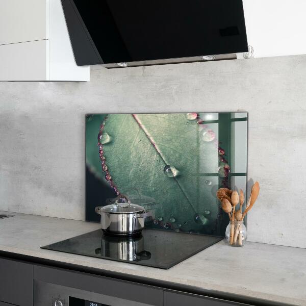 Zidna obloga za kuhinju List s kapljico rose