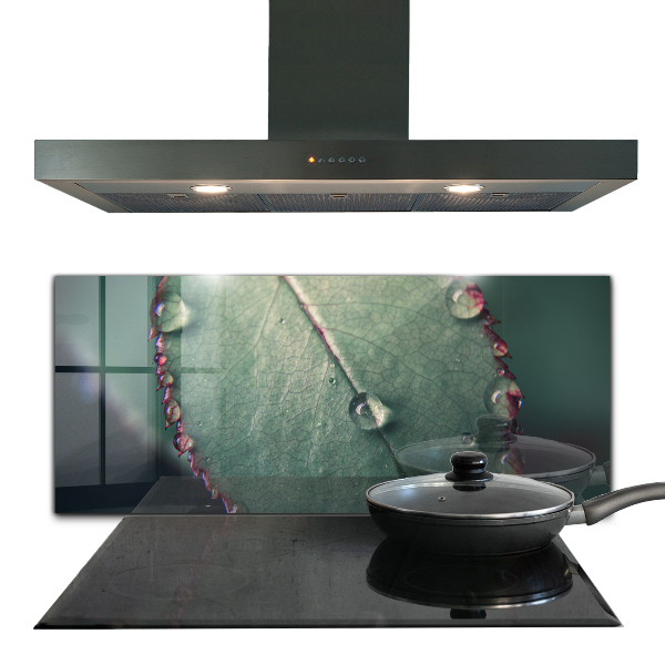 Zidna obloga za kuhinju List s kapljico rose