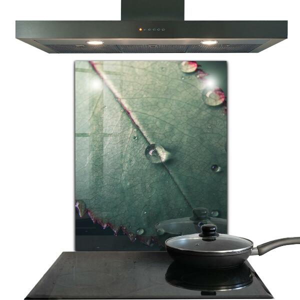 Zidna obloga za kuhinju List s kapljico rose