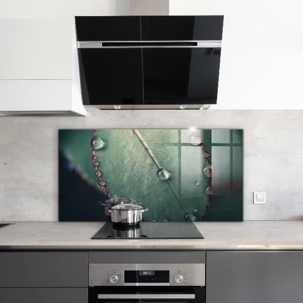 Zidna obloga za kuhinju List s kapljico rose