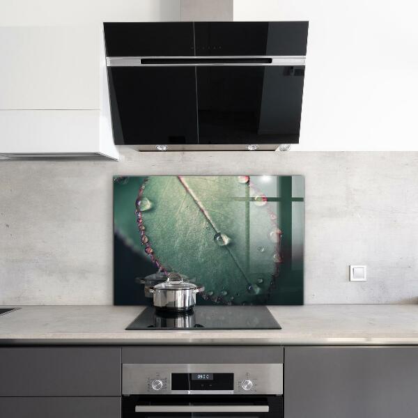Zidna obloga za kuhinju List s kapljico rose