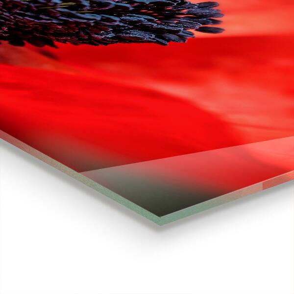 Zidna obloga za kuhinju Podrobnosti rdečega maka