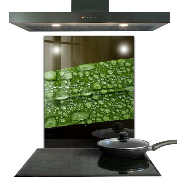 Zidna obloga za kuhinju Zeleni list po dežju