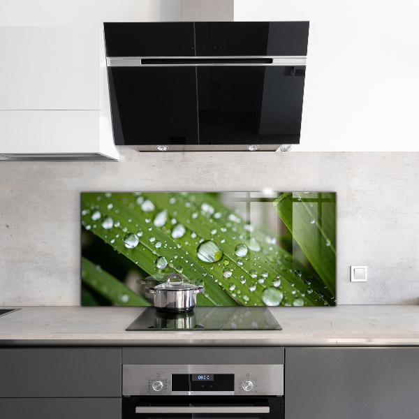 Zidna obloga za kuhinju Kaplje rose na travi