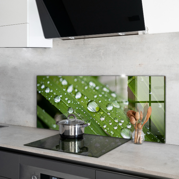 Zidna obloga za kuhinju Kaplje rose na travi