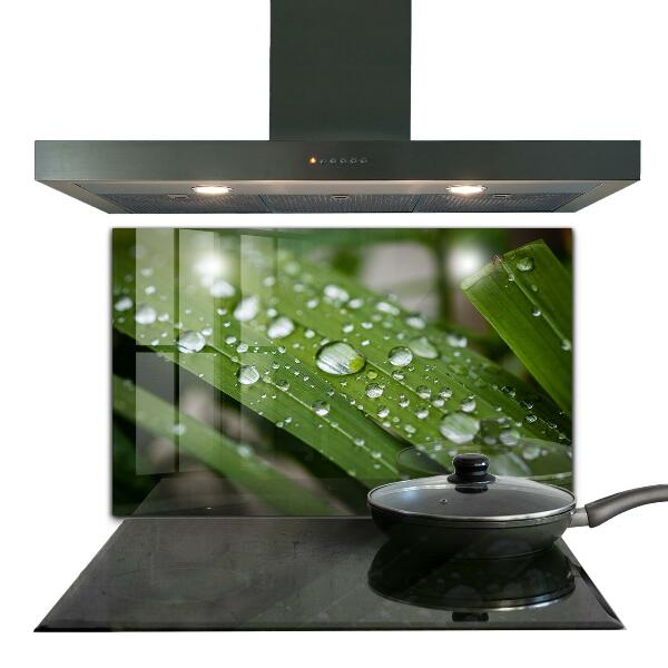 Zidna obloga za kuhinju Kaplje rose na travi