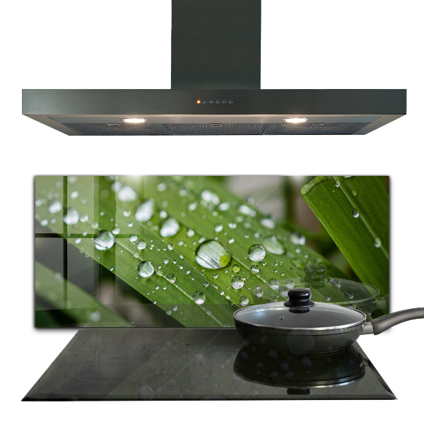 Zidna obloga za kuhinju Kaplje rose na travi