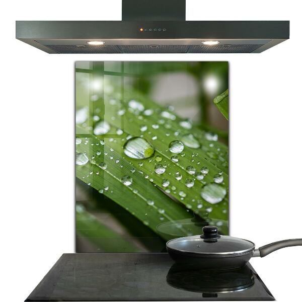 Zidna obloga za kuhinju Kaplje rose na travi