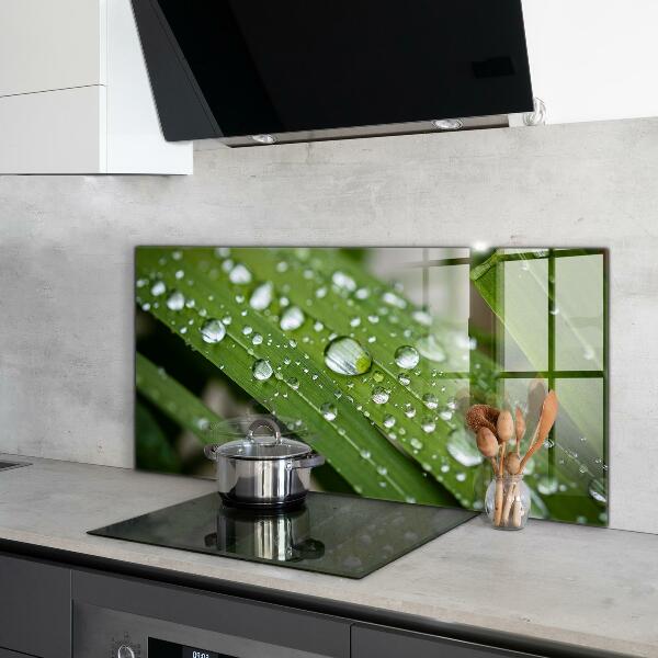 Zidna obloga za kuhinju Kaplje rose na travi