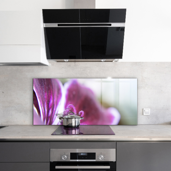 Zidna obloga za kuhinju Podrobnosti o naravi roza rože