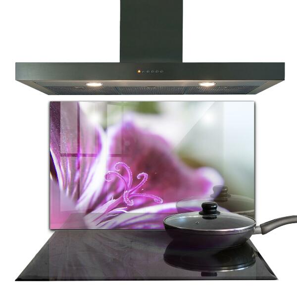 Zidna obloga za kuhinju Podrobnosti o naravi roza rože