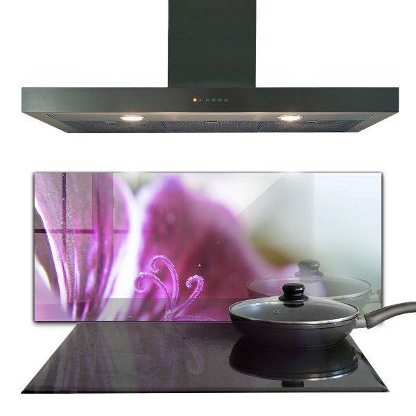 Zidna obloga za kuhinju Podrobnosti o naravi roza rože