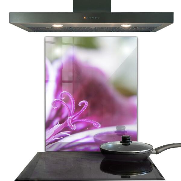 Zidna obloga za kuhinju Podrobnosti o naravi roza rože