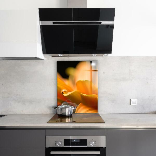 Zidna obloga za kuhinju Gerberjev cvet