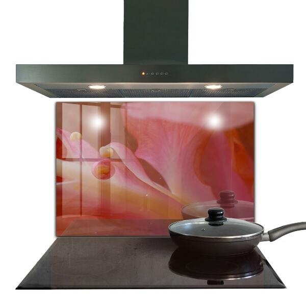 Zidna obloga za kuhinju Cvetni prah narava