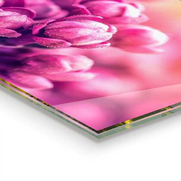 Zidna obloga za kuhinju Naravna lepota roza lilij