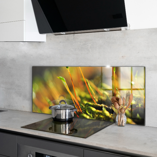 Zidna obloga za kuhinju Podrobnosti o gozdnem mahu