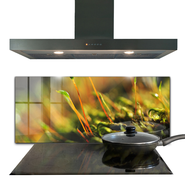 Zidna obloga za kuhinju Podrobnosti o gozdnem mahu