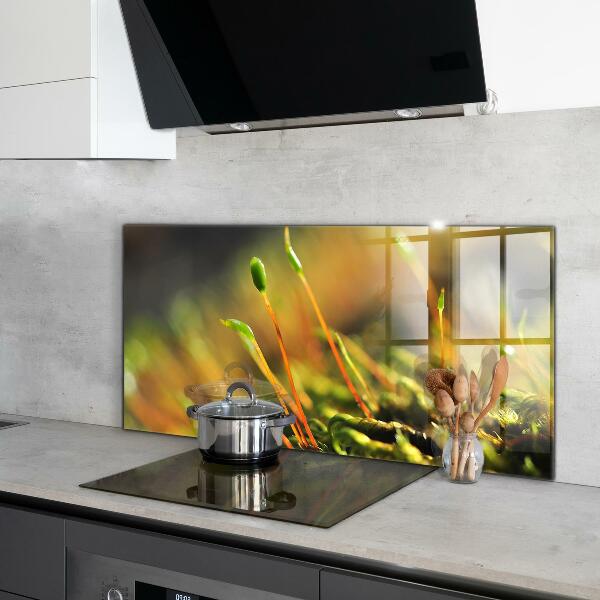 Zidna obloga za kuhinju Podrobnosti o gozdnem mahu