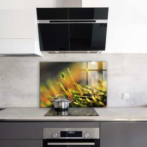 Zidna obloga za kuhinju Podrobnosti o gozdnem mahu