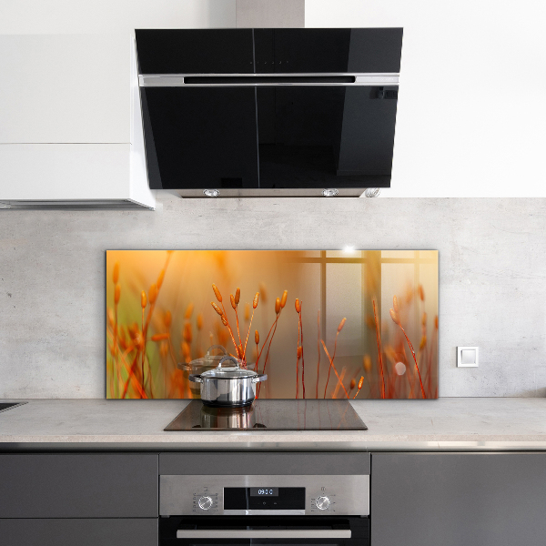 Zidna obloga za kuhinju Žitno polje ob sončnem zahodu