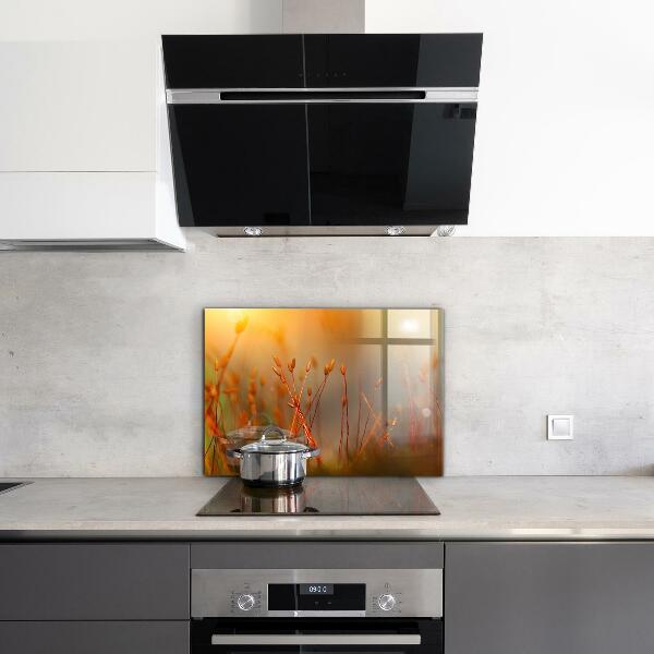 Zidna obloga za kuhinju Žitno polje ob sončnem zahodu