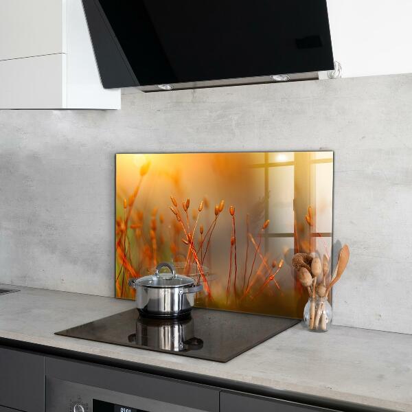 Zidna obloga za kuhinju Žitno polje ob sončnem zahodu