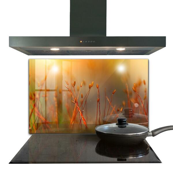 Zidna obloga za kuhinju Žitno polje ob sončnem zahodu