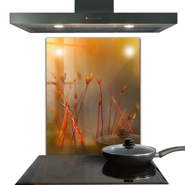 Zidna obloga za kuhinju Žitno polje ob sončnem zahodu