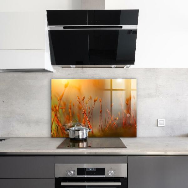 Zidna obloga za kuhinju Žitno polje ob sončnem zahodu