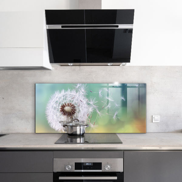 Zidna obloga za kuhinju Regrat regrat v vetru