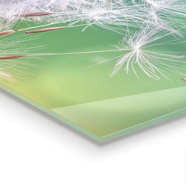 Zidna obloga za kuhinju Regrat regrat v vetru