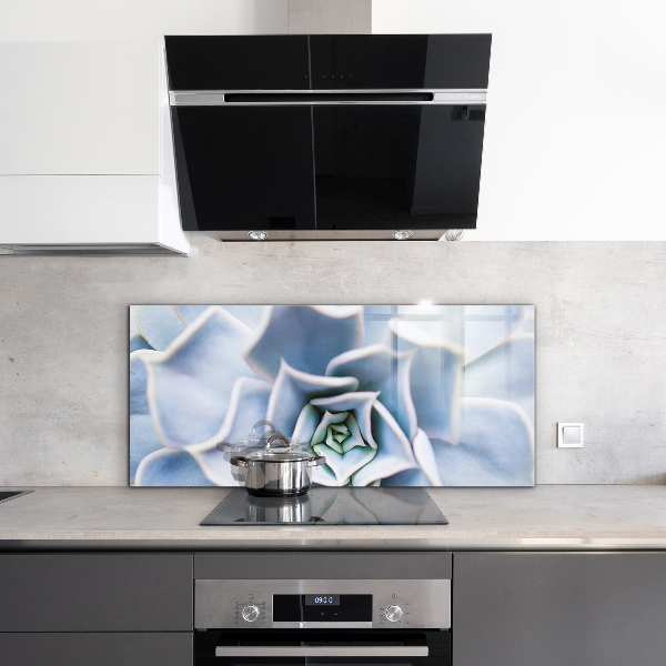 Zidna obloga za kuhinju Kaktus sukulent