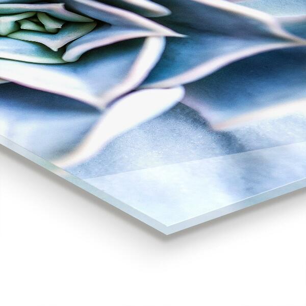 Zidna obloga za kuhinju Kaktus sukulent