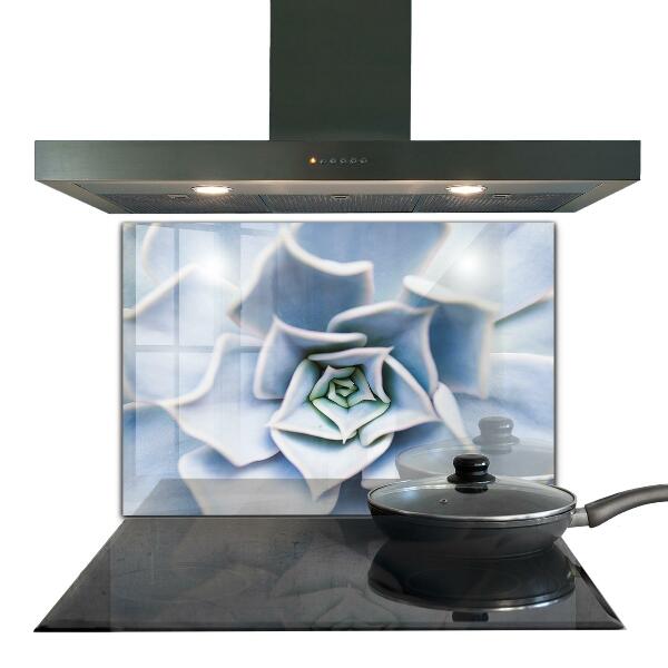 Zidna obloga za kuhinju Kaktus sukulent