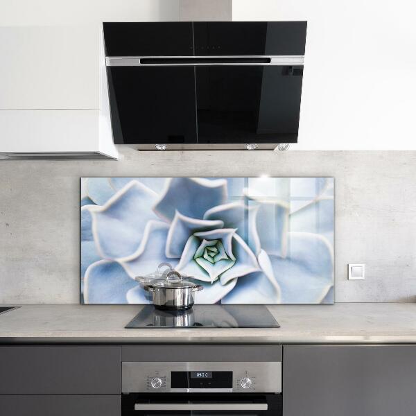 Zidna obloga za kuhinju Kaktus sukulent