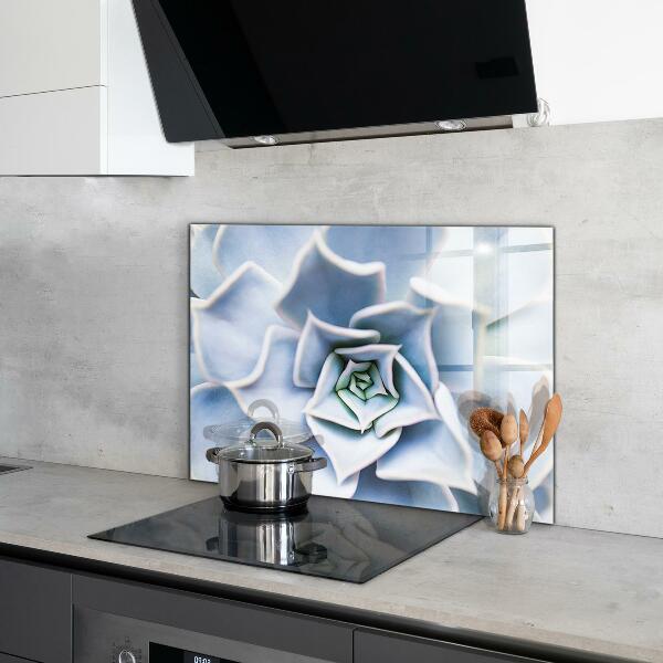 Zidna obloga za kuhinju Kaktus sukulent