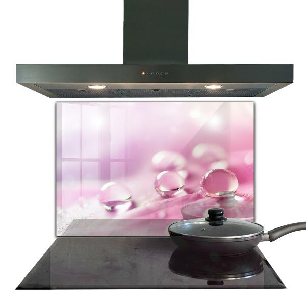 Zidna obloga za kuhinju Kaplje rose na rožnatem cvetu