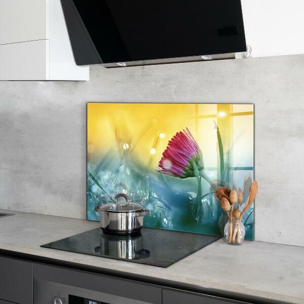 Zidna obloga za kuhinju Nežna marjetica na travniku