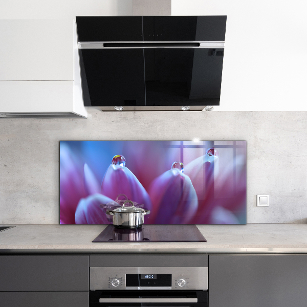 Zidna obloga za kuhinju Rosne kapljice vijolična roža