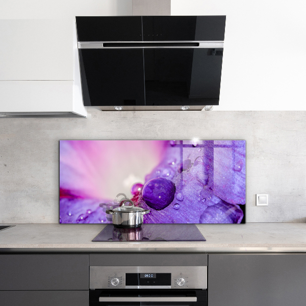 Zidna obloga za kuhinju Vijolična roža z jutranjo roso