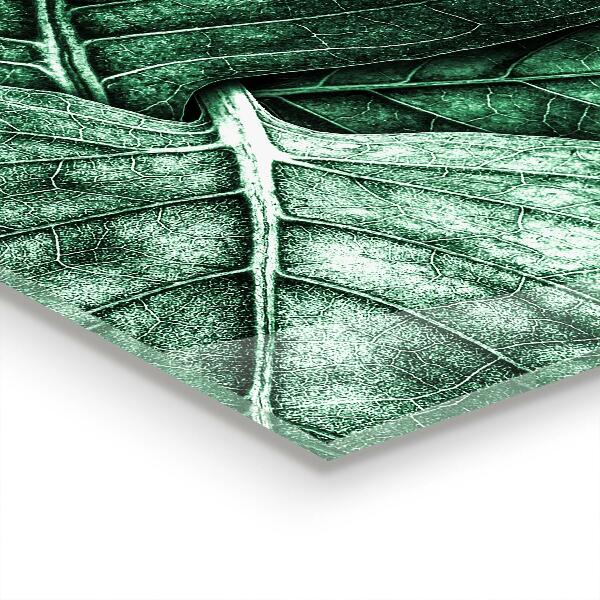 Zidna obloga za kuhinju Podrobnosti zelenega lista