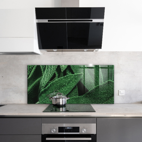 Zidna obloga za kuhinju Zeleni listi po dežju