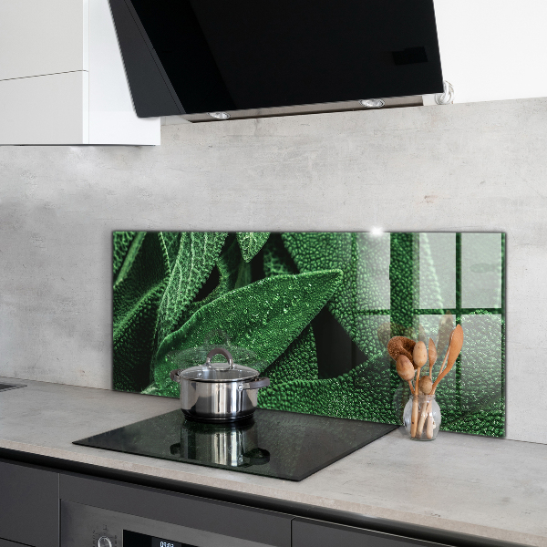 Zidna obloga za kuhinju Zeleni listi po dežju