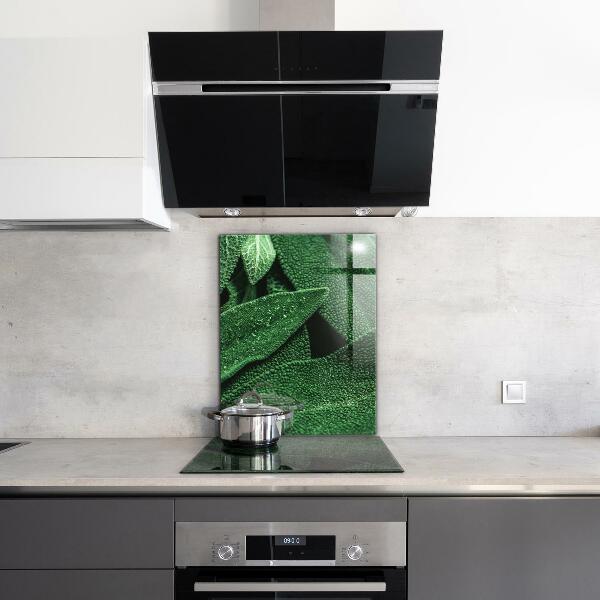 Zidna obloga za kuhinju Zeleni listi po dežju
