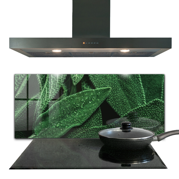 Zidna obloga za kuhinju Zeleni listi po dežju