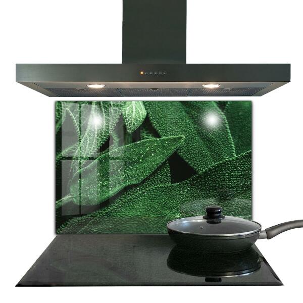 Zidna obloga za kuhinju Zeleni listi po dežju